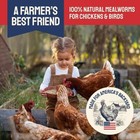 10lbs Bulk Dried Mealworms - Premium Non-gmo Organic Chicken Feed  Nutritious   
