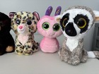 Ty Beanie Boo Plush Lot Of 6 No Tags Lemur Rainbow Cheetah Bear Snail Lynx