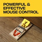 Victor Mouse Traps  12-pack Plastic Pedal Snap Fsc Certified Wood
