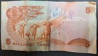 1981 Kenya 5 Shillings P19a  D13-772079 