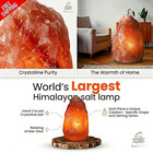 Large Salt Lamp Hand Carved Pink Largest Lamp 44   800 Lb - Premium Air Purifier