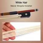 Cello Bow 4 4 Brazilwood Ebony Frog Straight Advance Natural Horse Hair Bow New
