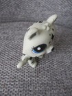 Littlest Pet Shop Lps Tiger Black White Diamond Marks Blue Eyes Authentic G7 109