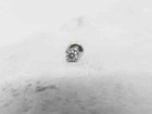 2 5mm Real 0 04ct Diamond Nose Stud Screw Ring Piercing Pin Real 14kt White Gold