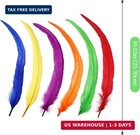 Ihufeather Natural Rooster Tail Feathers 50pcs 10-12inch Long Rooster Coque Tail