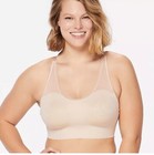 Ruby Ribbon Heritage Sheer  1787 New 