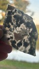66gm Of 10mm 2 5x2 5in Slab Rough Of Green Moss Agate Cabbing Lapidary Free Ship