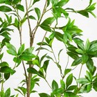 6  Artificial Minimalist Japanese Pieris Tree