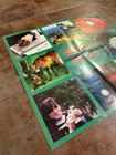 Silver Jews The Natural Bridge Promo Poster Vintage David Berman Pavement