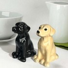 Labrador Salt   Pepper Ceramic Shaker Set Black And Golden Lab Dog Lover Gift