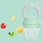 2 Pack Pacifier Dummy Teething Feeder Food Baby Weaning Easy Clean Blue   Green