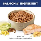 Hill s Science Diet Adult 1-6  Adult 1-6 Premium Nutrition  Dry Dog Food  Salmon