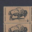 Wildlife Conservation  The Buffalo - Vintage Mint Set Of 4 Stamps 56 Years Old 