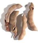 Organic Tamarind Pod - Unprocessed Fresh Whole Tamarind Pods - Bulk -tamarindo