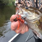 Tackle Hd 4-pk Hi-def Craw Bass Lures  3d Scanned 3  Soft Crawfish Bait  Brown