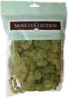 Preserved Reindeer Moss 108 5 Cubic Inches Spring Green