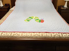 Pottery Barn Kids Eric Carle Very Hungry Caterpillar Quilt Twin Blue Red Gingham