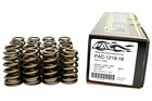 Pac Racing Springs Pac-1219 1 307 Valve Springs Beehive Ls  625  Lift Pac1219