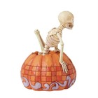 Jim Shore Skeleton Pop Out Pumpkin Figurine-scared To The Bone 6016643 New 2025