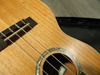 Cordoba 15cm Concert Ukulele W gig Bag Abalone Rosette
