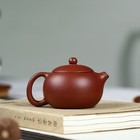 China Yixing Zisha Pottery Clovershrub Clay Handmade 200cc Mesh Teapot       
