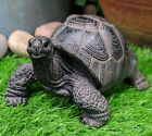 Ebros Lifelike Galapagos Tortoise Statue 6 5  Wide Lucky Zen Turtle Figurine