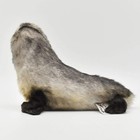 Bh6700 Hansa Southern African Fur Seal Baby 26 Realistic Stuffed Animals Plush