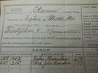 Antique 1904 Karnes County Texas Tax Receipt