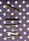 Original Civil War Medical Surgeon Instrument Leather Folding Pocket Set 