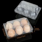 Fviexe 100pcs Egg Cartons Cheap Bulk  Each Holds Half Dozen Eggs  6 Eggs   Pl   