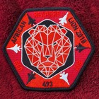 493rd F-15 Fighter Squadron Reapers Patch Lot African Lion 2018 Doc Stomp Boar