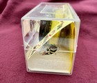 Vintage Turbo Bumble Bee Yo-yo Playmaxx Translucent Box 1990 s W   Strings