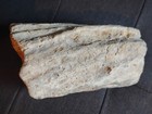 Native American Paleo Indian Marker Stone Petrified Wood Crystalized Inside Wow 