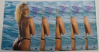 Sunny Signed Wwe 11x14 Photo Bas Coa Wwf Diva Ecw Wcw Smw Tammy Lynn Sytch Auto