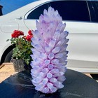 22lb New Find Purple Phantom Quartz Crystal Cluster Mineral Samples