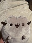 Classic Pusheen The Cat Soft Plush 9    Bundle