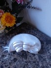 Women   s Straw Fascinator Headpiece Bow Rhinestone Trim Veil  Multicolor
