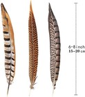 Flying Feathers Natural Pheasant Feathers 4 Style 15-20cm 12pcs Natural Feath   