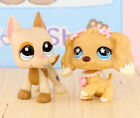 2lot Lps Cocker Spaniel  748 Great Dane  1647 Dog Lps Figure With Accessories