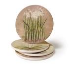 Coasterstone Subtle Flowers Absorbent Coasters  4-1 4-inch  Set Of 4
