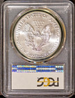 2017  1 Silver American Eagle Ms 70 Fdi Pcgs   83672212   Bonus