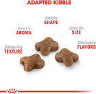 Royal Canin Feline Health Nutrition Dry Kitten Food  Supports Digestive Health 