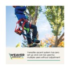 Weaver Arborist Nylon Foot Ascender Tree Climbing Sling  Regular  Haas Velox    