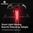 Rockbros Colorful Bicycle Rear Light Usb-c Waterproof Bike Taillight Night Rides
