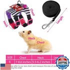 2 Pieces Hamster Harness And Leash Set For Walking  Small Guinea Pig Clothes 