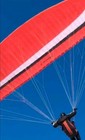 Paraglider Wing Swing Mistral 3 28 95-125kg Dhv 1-2