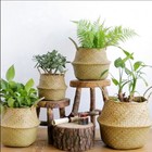 Handmade Basket Wicker Rattan Seagrass Belly Garden Flower Pot Planter Us