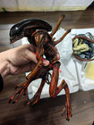 Sideshow Alien Statue Resin Figure Painted Model Collectible Limited Box Gift