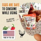 Roosty s Naturals Chicken De-wormer Powder - Chili Mix   1lb Pouch      