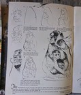 How To Draw Animals By Walter Foster 1984